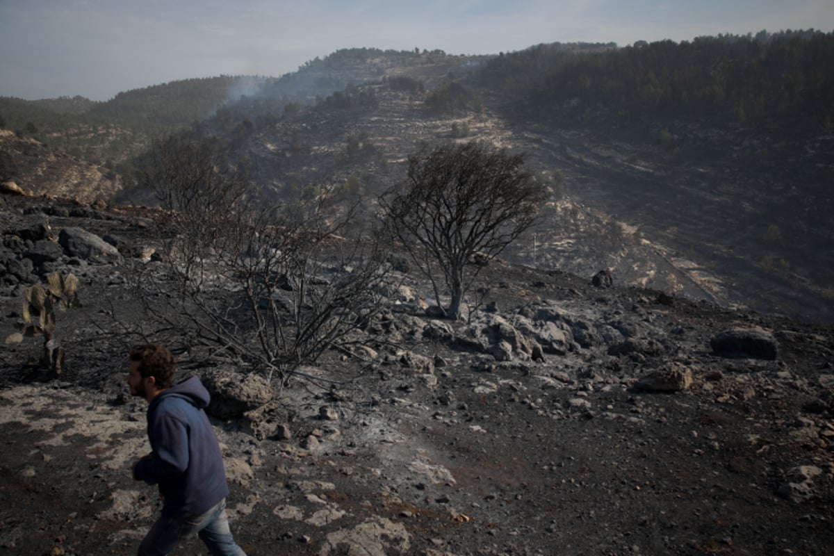 חומות האש, מטוסי הכיבוי והבתים השרופים | גלריה