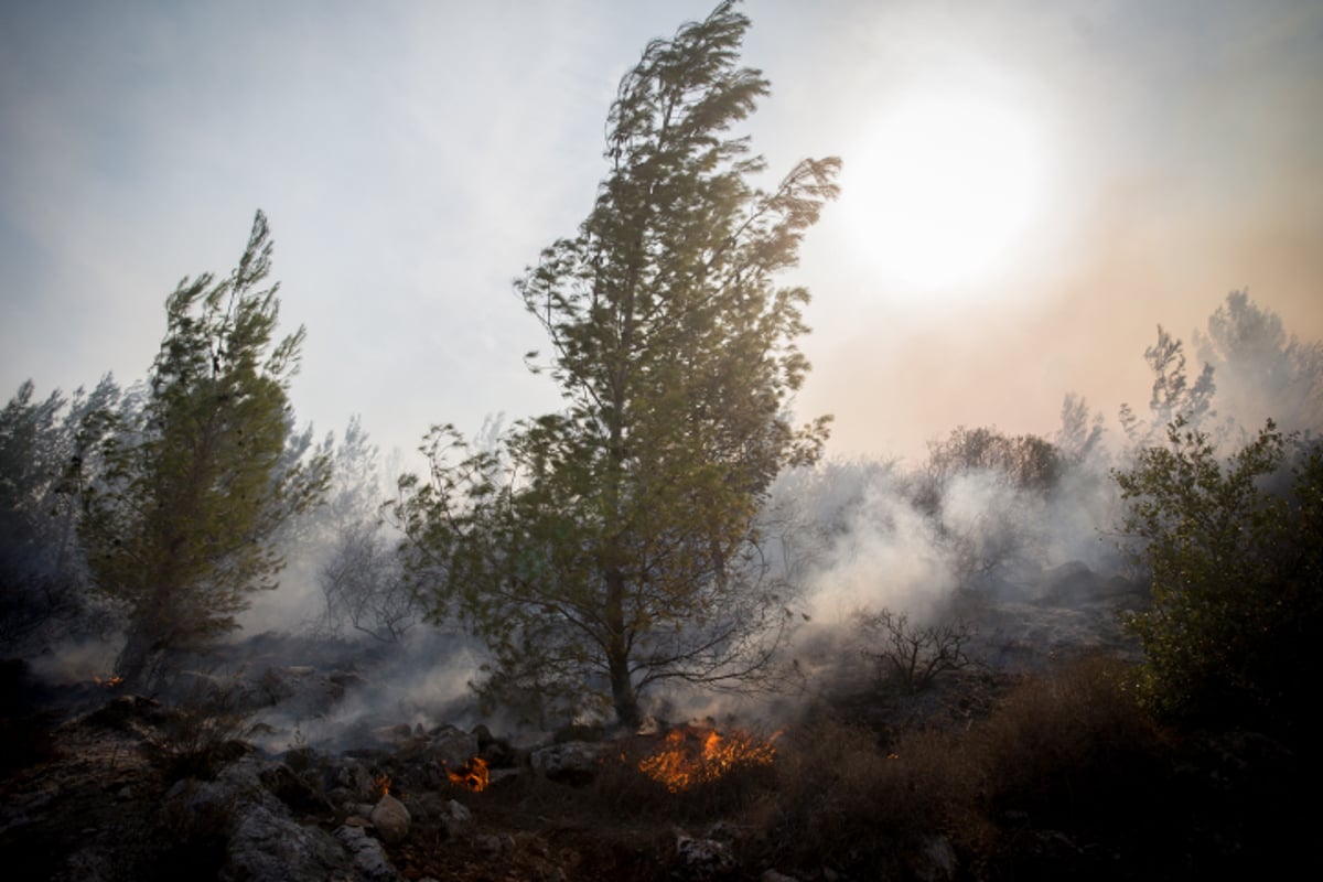 חומות האש, מטוסי הכיבוי והבתים השרופים | גלריה