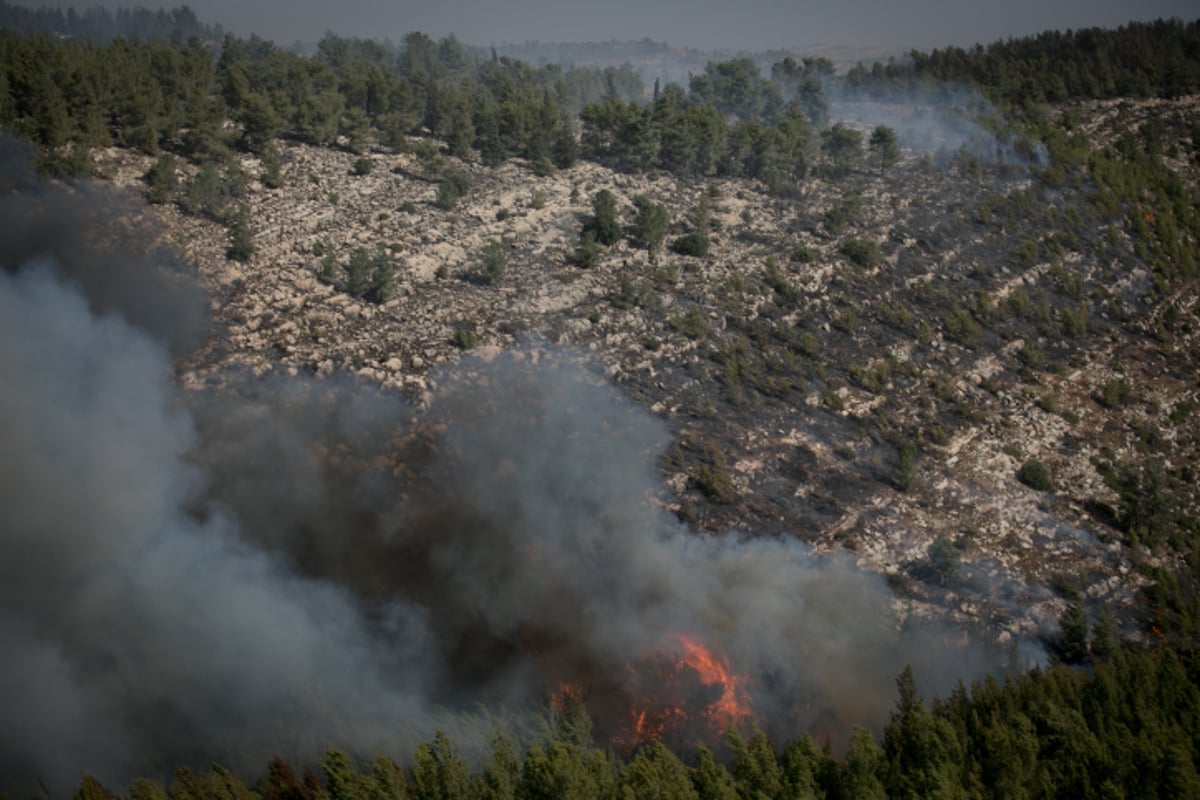 חומות האש, מטוסי הכיבוי והבתים השרופים | גלריה