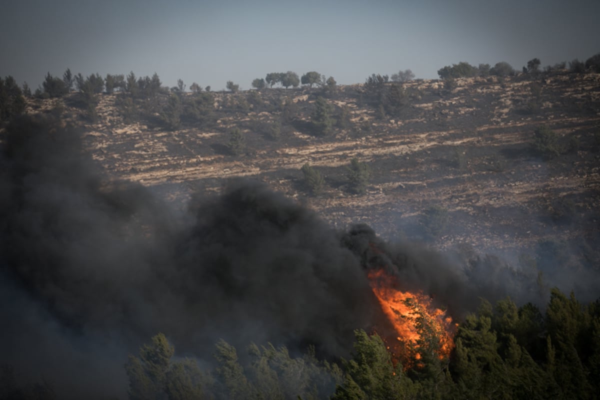 חומות האש, מטוסי הכיבוי והבתים השרופים | גלריה