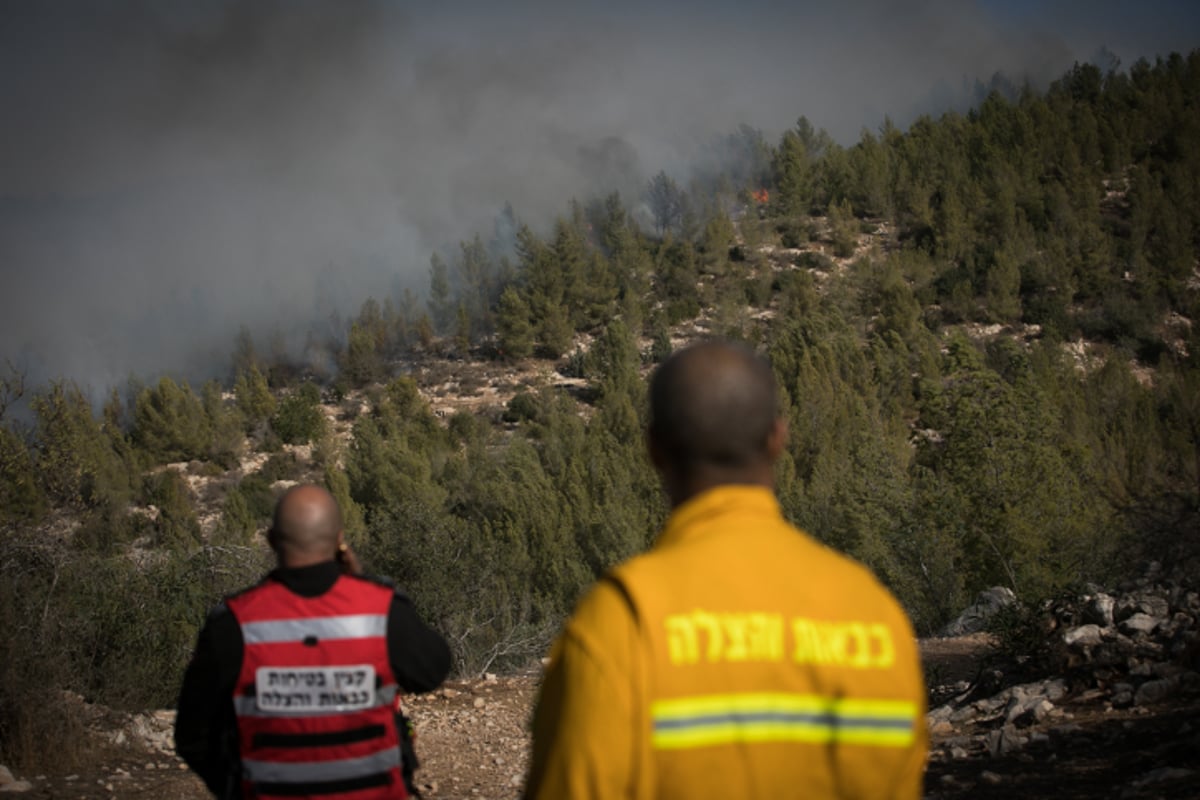 חומות האש, מטוסי הכיבוי והבתים השרופים | גלריה