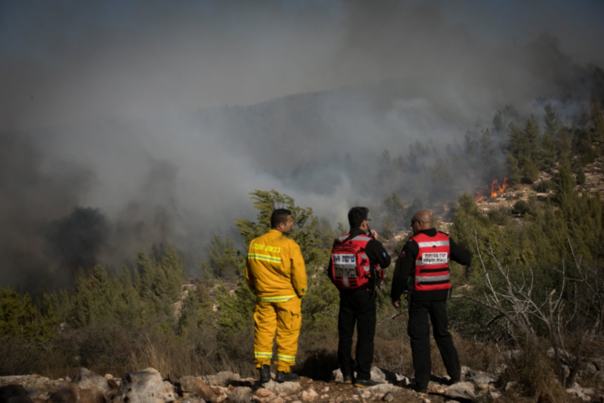 חומות האש, מטוסי הכיבוי והבתים השרופים | גלריה