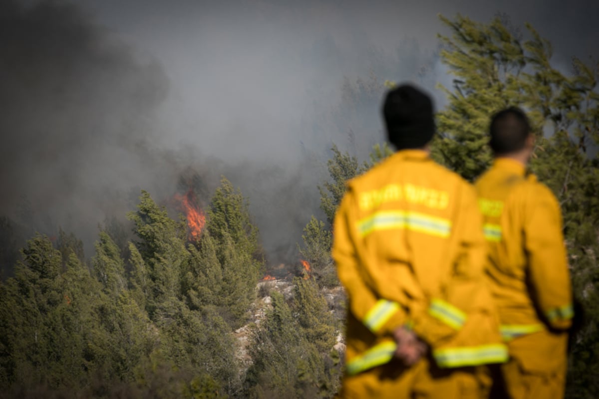 חומות האש, מטוסי הכיבוי והבתים השרופים | גלריה