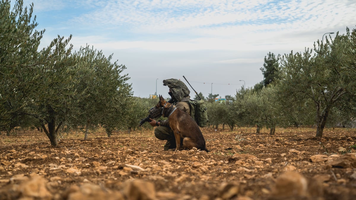 צפו בתיעוד: כך מאמנים את לוחמי הקומנדו