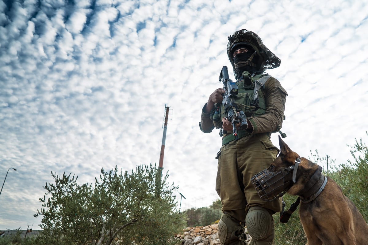 צפו בתיעוד: כך מאמנים את לוחמי הקומנדו