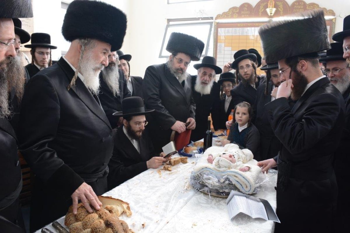 פדיון הבן לנין האדמו"ר מאשלג | גלריה