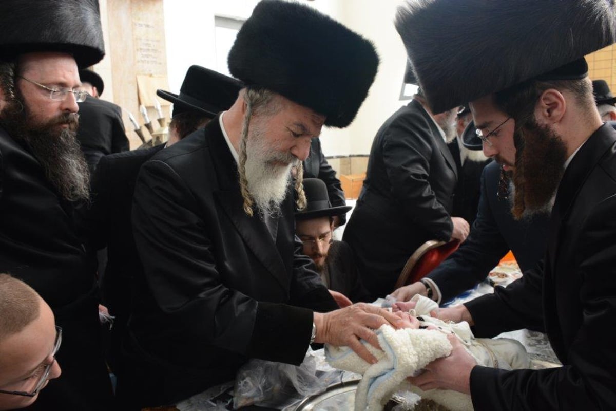 פדיון הבן לנין האדמו"ר מאשלג | גלריה