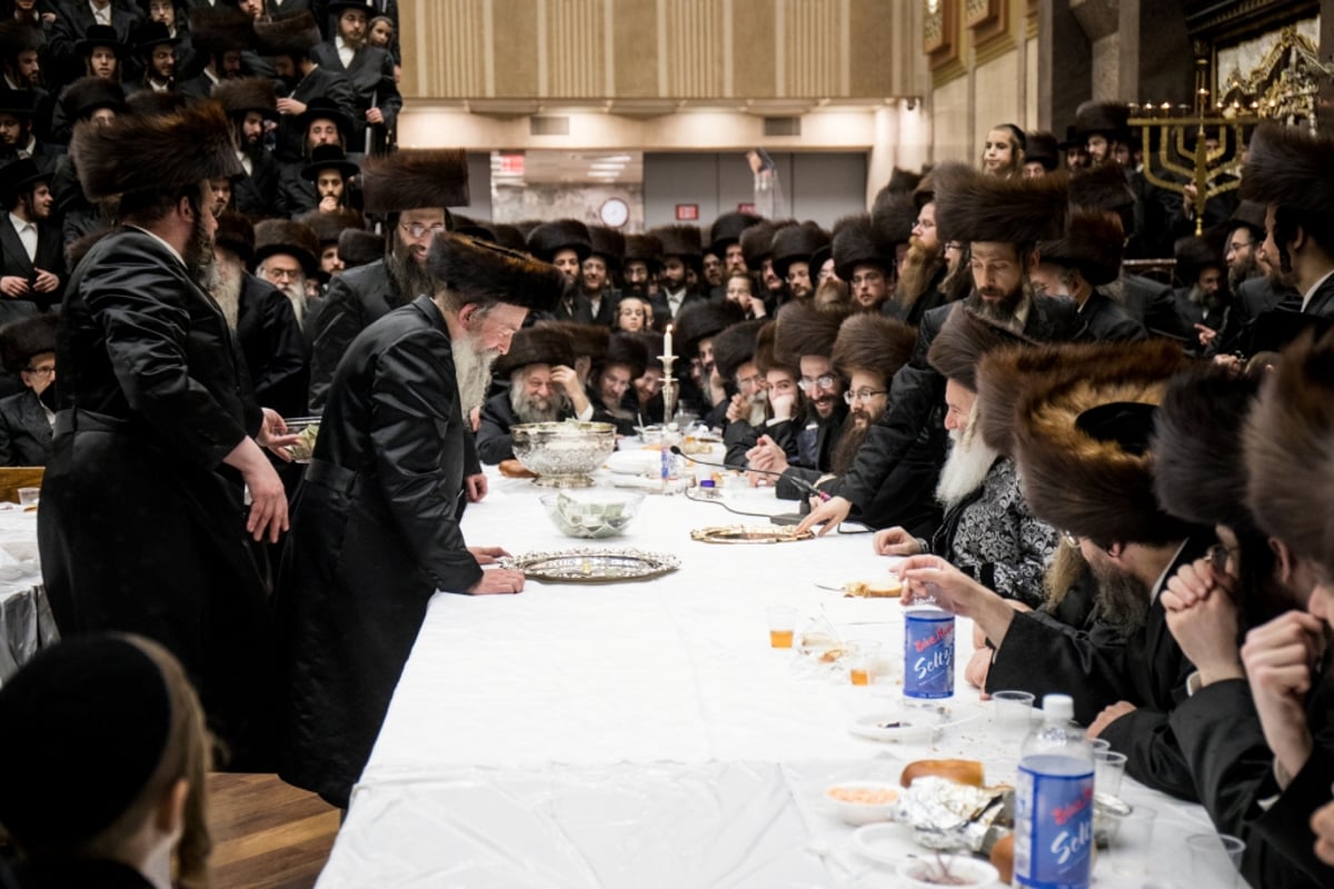 טיש 'זאת חנוכה' בבאבוב | גלריה