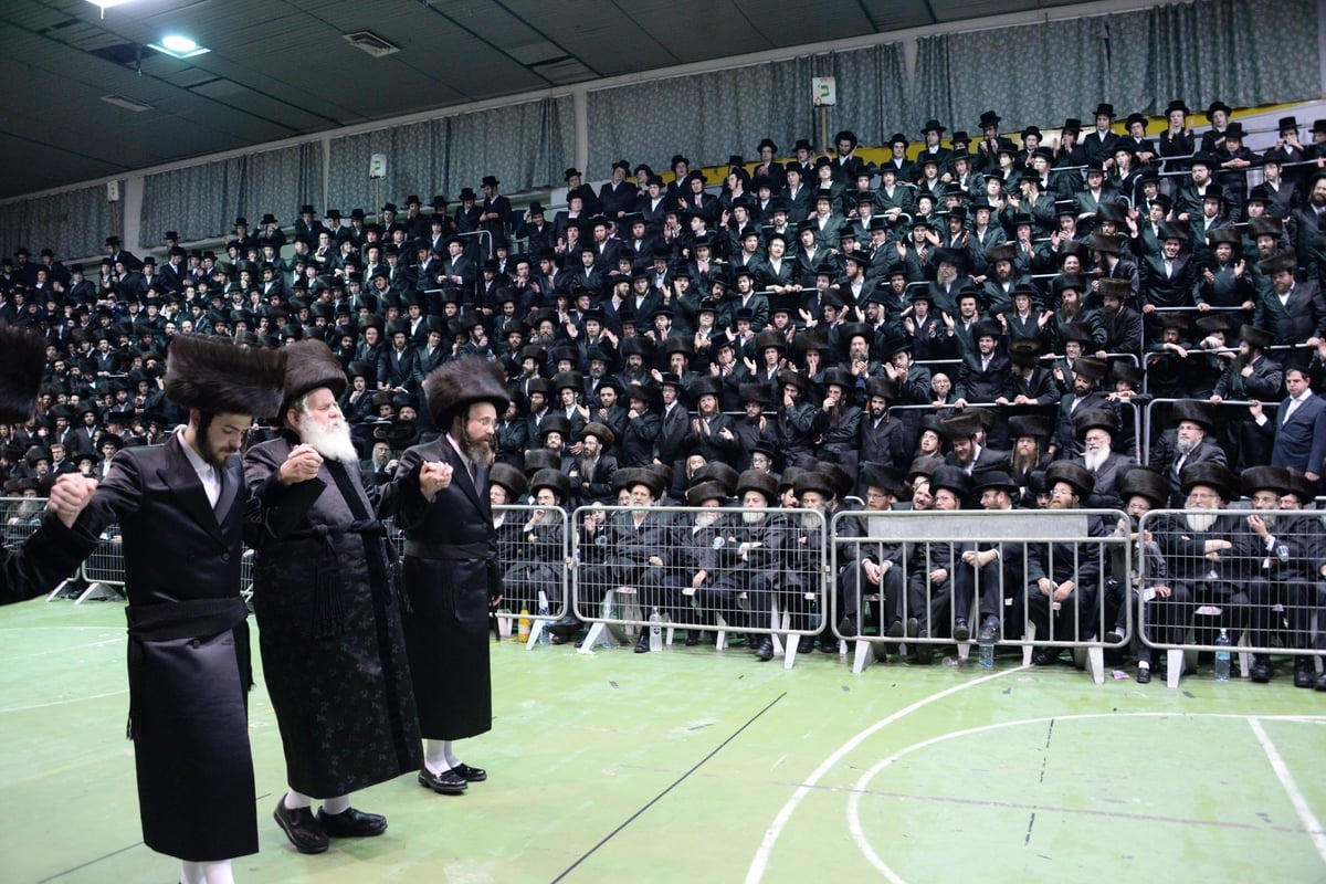 תיעוד ענק: חתונת נכד האדמו"ר מערלוי