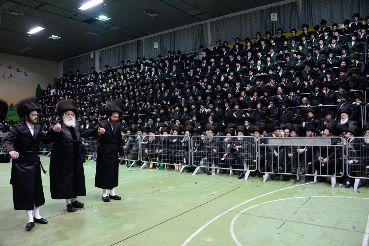 תיעוד ענק: חתונת נכד האדמו"ר מערלוי