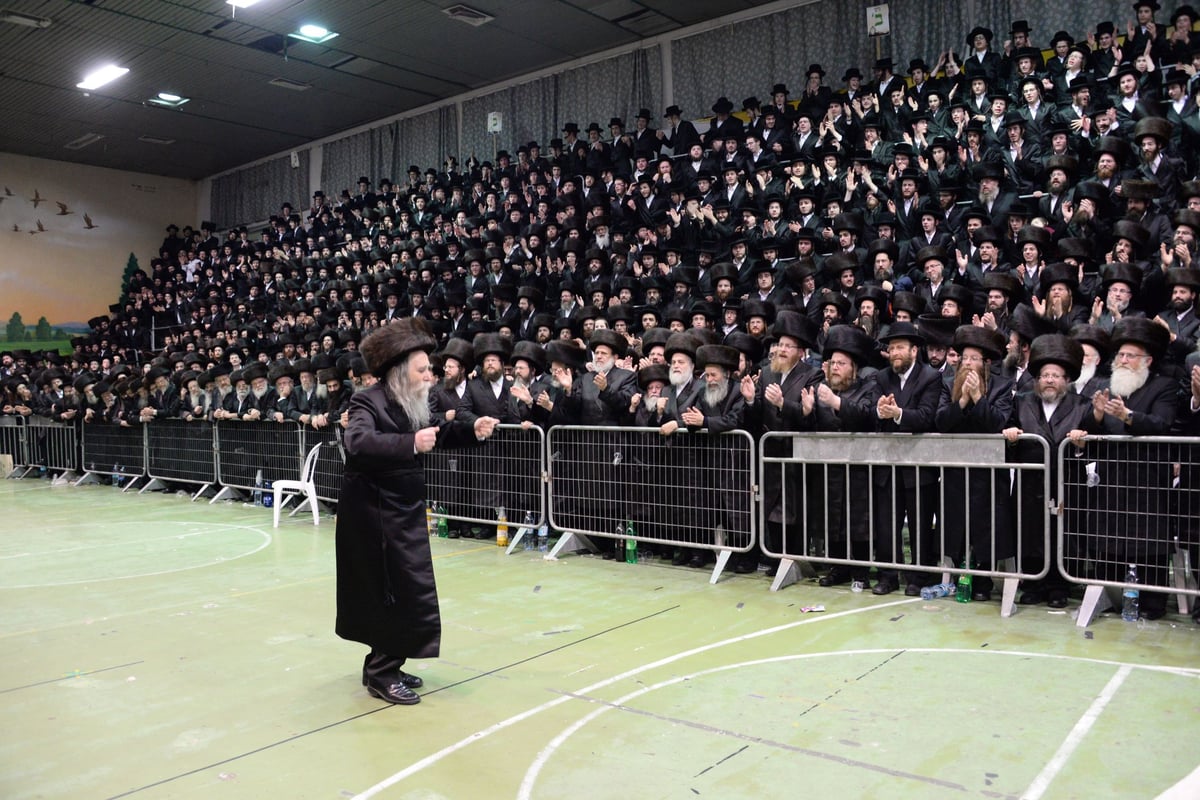 תיעוד ענק: חתונת נכד האדמו"ר מערלוי