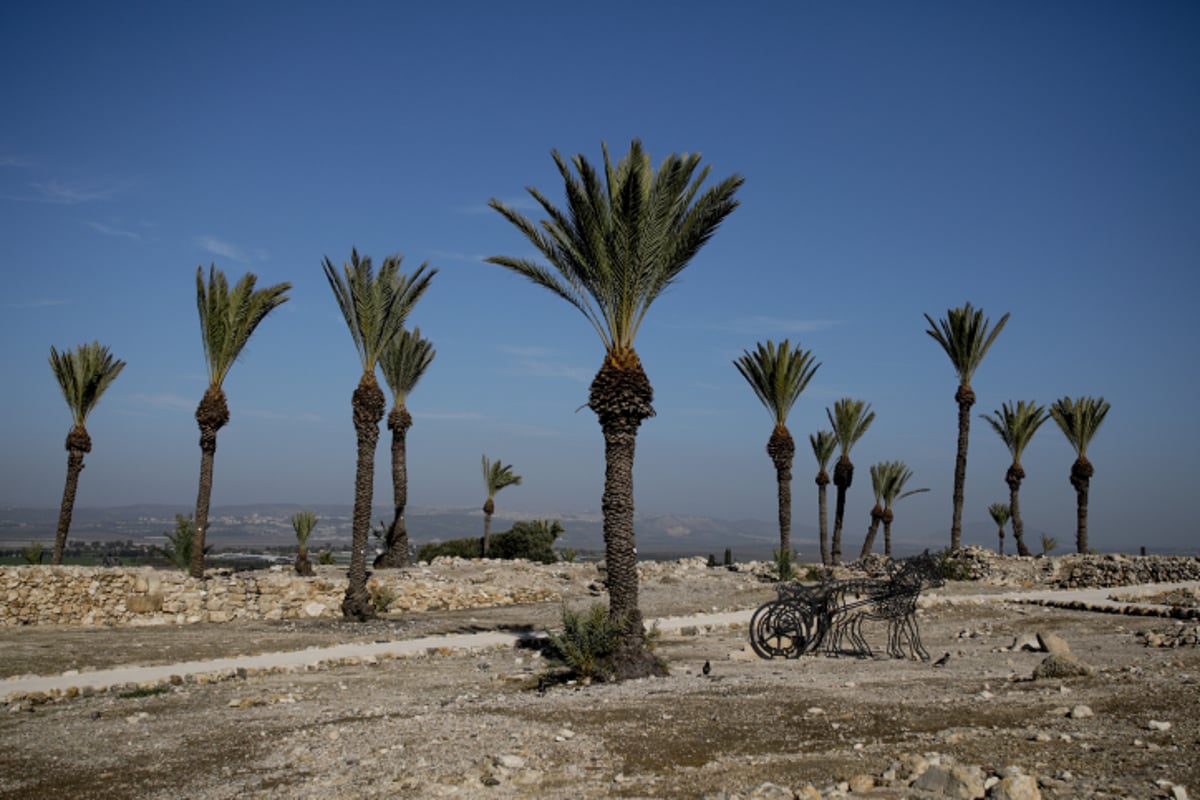 בעדשת המצלמה: טיול בתל מגידו. צפו