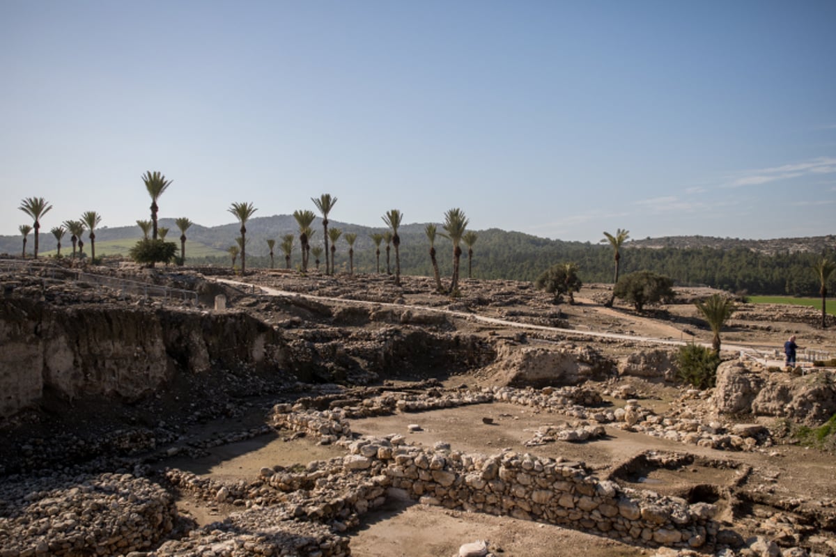 בעדשת המצלמה: טיול בתל מגידו. צפו