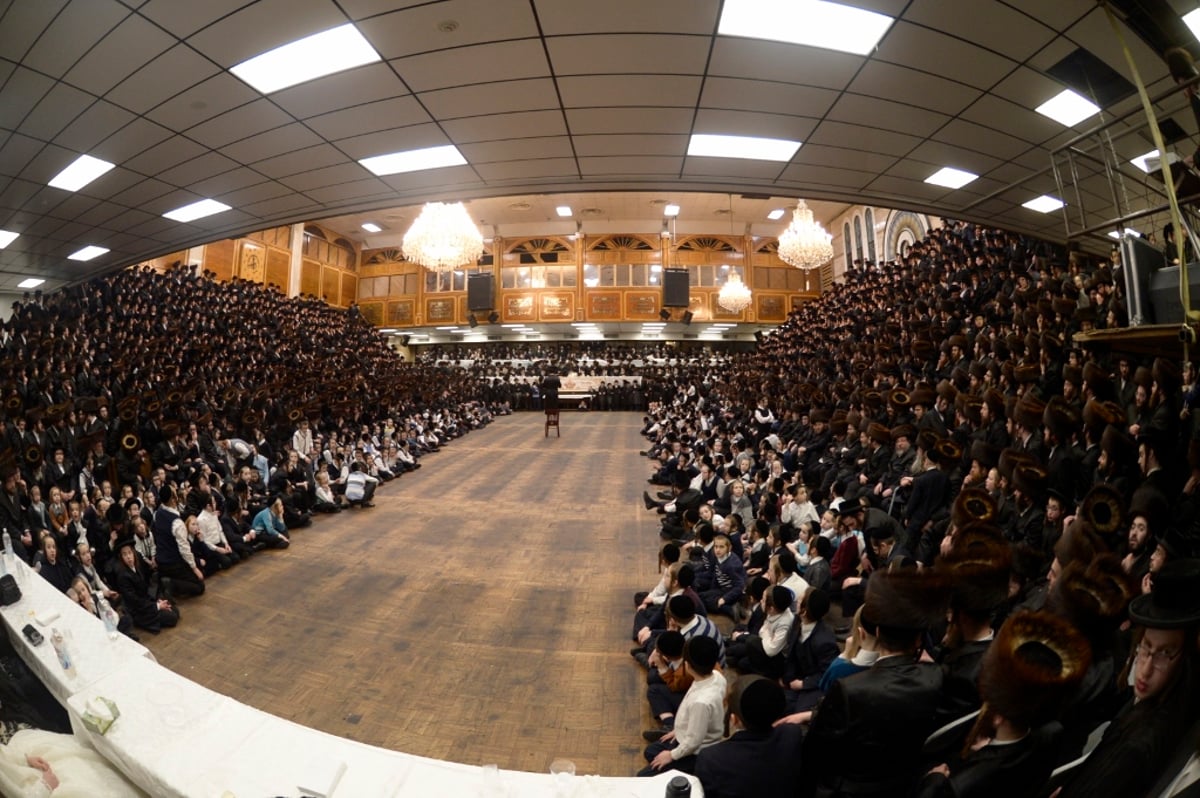 חתונת נכד האדמו"ר מסאטמר | צפו