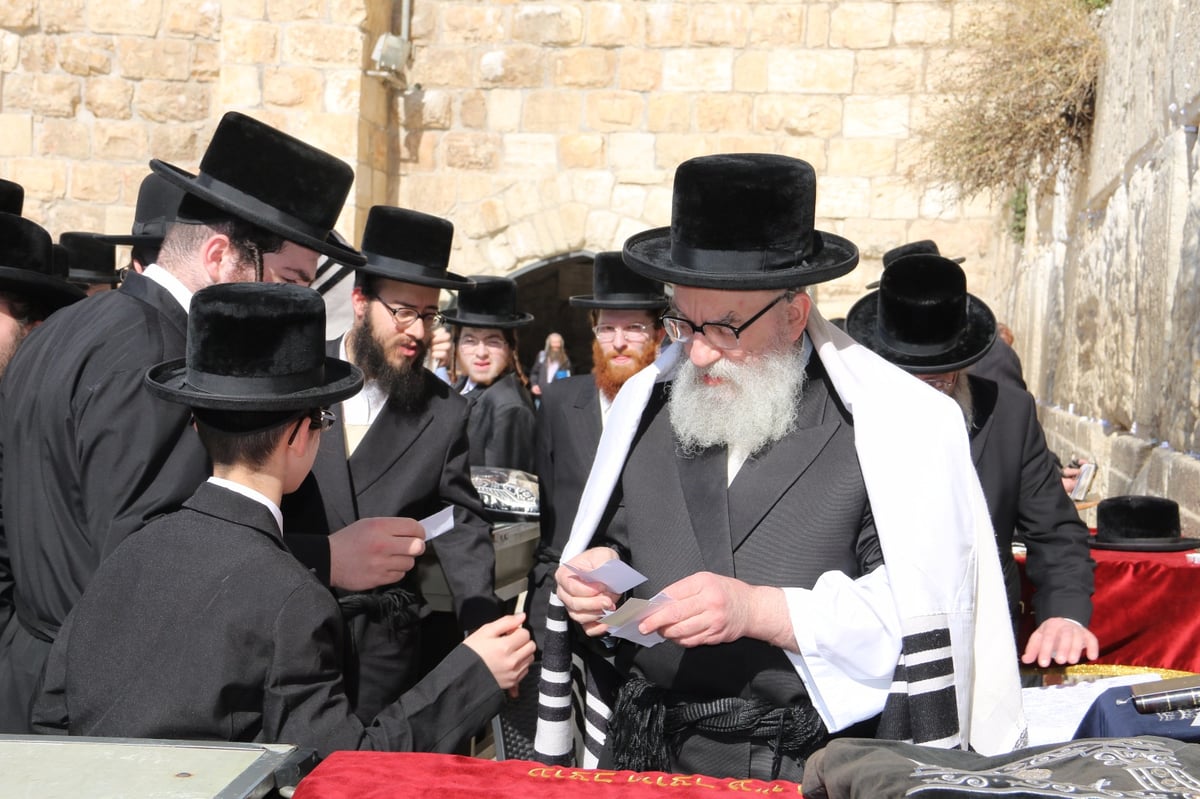 בדרך לניחום: בן האדמו"ר מסקווירא בא לכותל המערבי