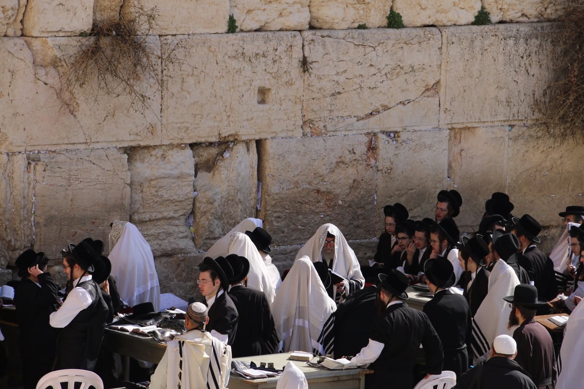 בדרך לניחום: בן האדמו"ר מסקווירא בא לכותל המערבי