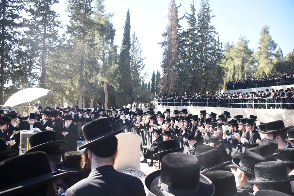 ניחום האבלים אצל האדמו"ר מבעלזא. צפו