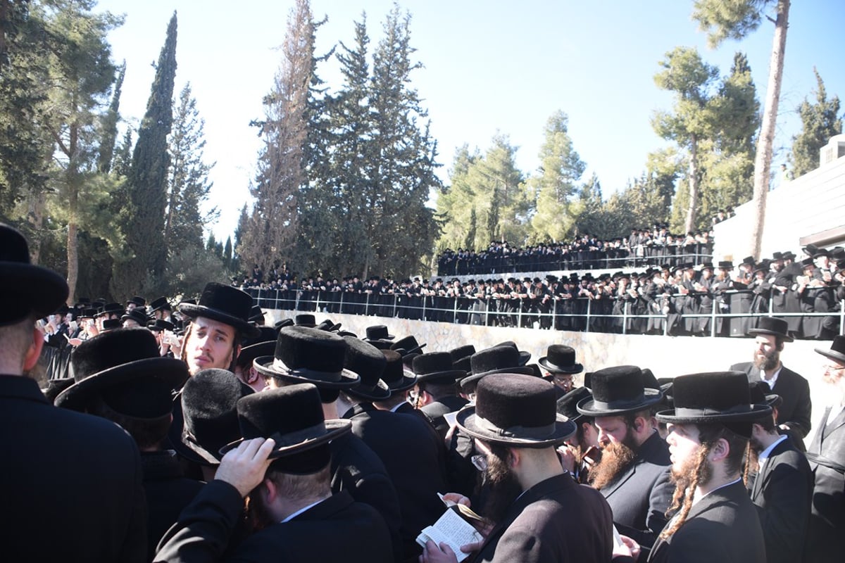 ניחום האבלים אצל האדמו"ר מבעלזא. צפו