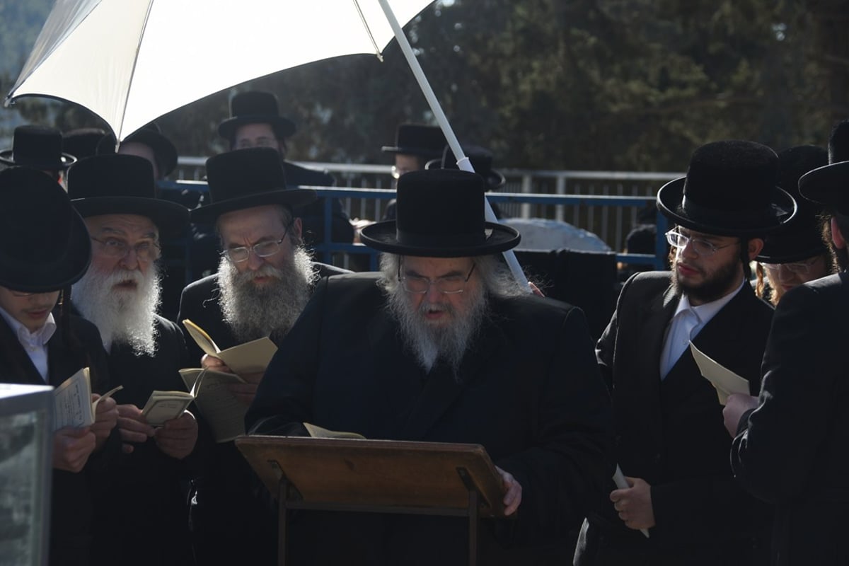 ניחום האבלים אצל האדמו"ר מבעלזא. צפו