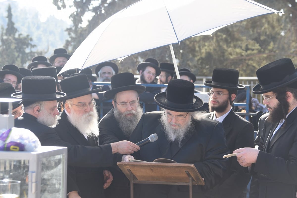 ניחום האבלים אצל האדמו"ר מבעלזא. צפו