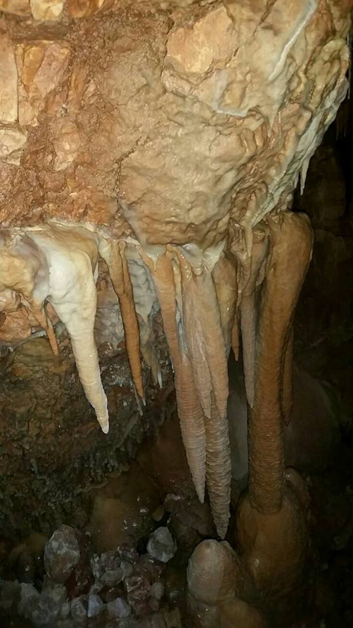 מרהיב: מערת נטיפים מיוחדת נחשפה בגליל. צפו