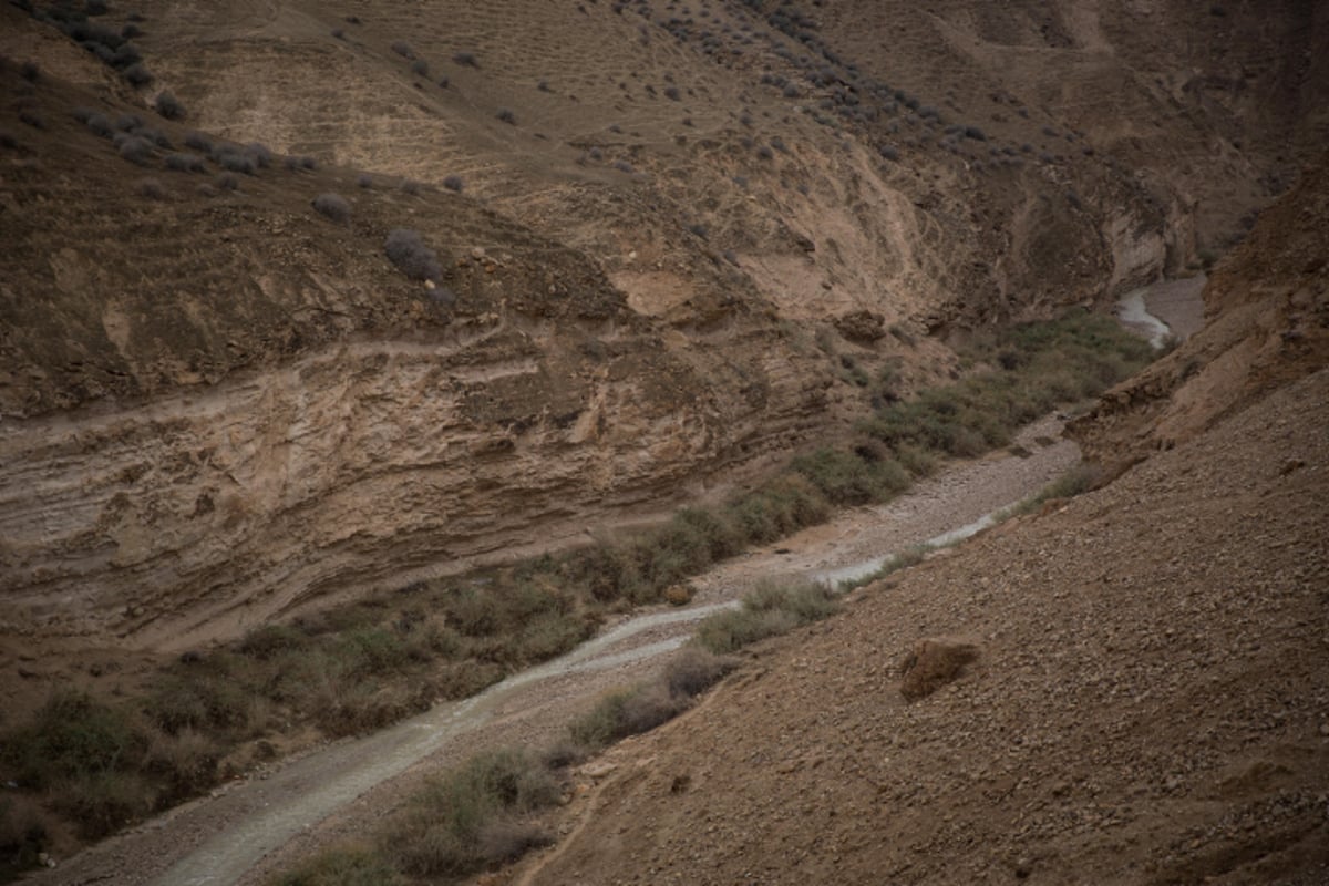 חורף במדבר: צפו בשיטפונות מגיעים לערוץ הנחל