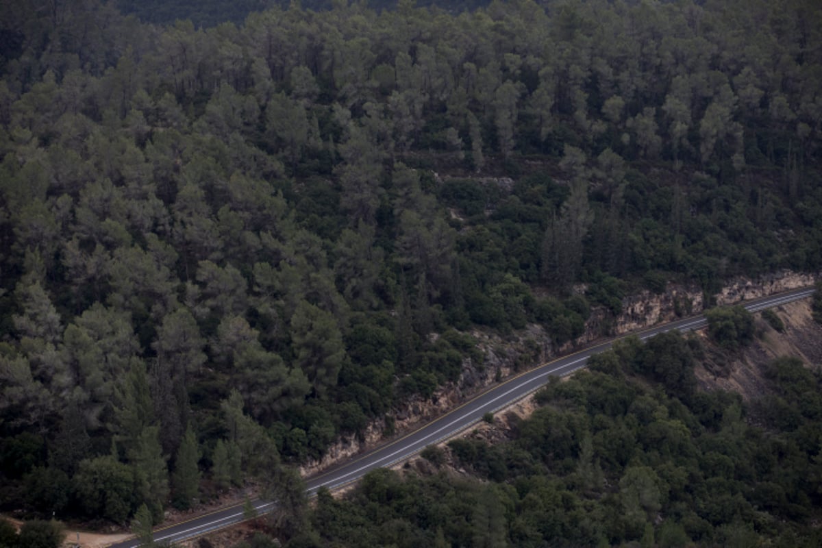 יופי חורפי: הרי ירושלים דרך עדשת המצלמה