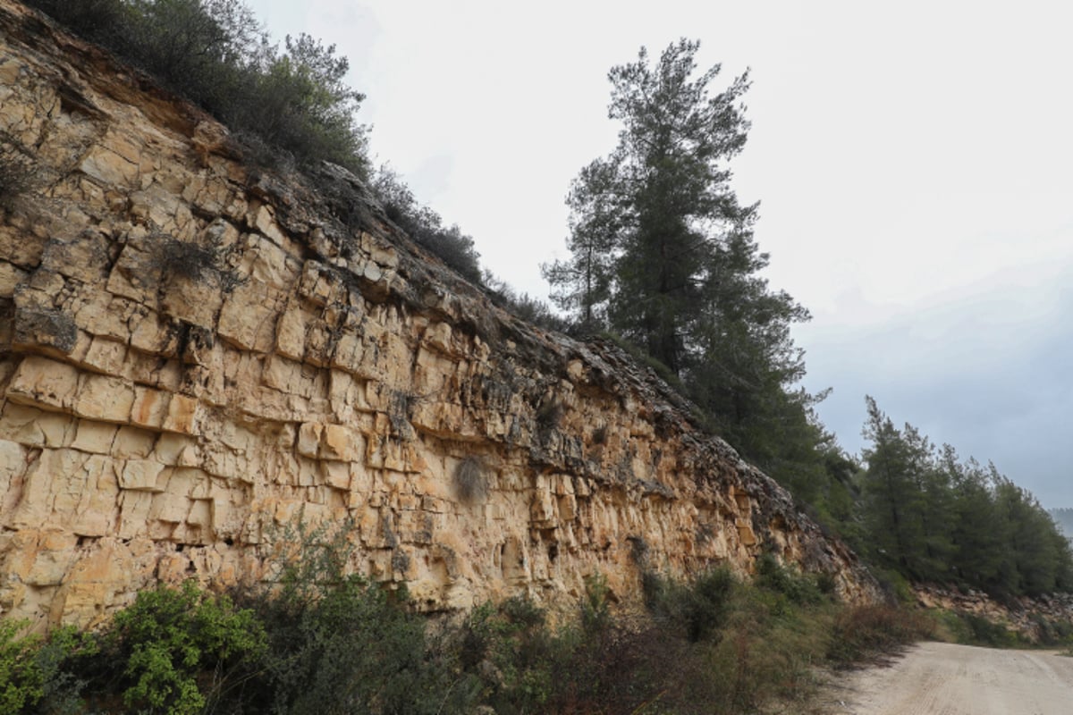 יופי חורפי: הרי ירושלים דרך עדשת המצלמה