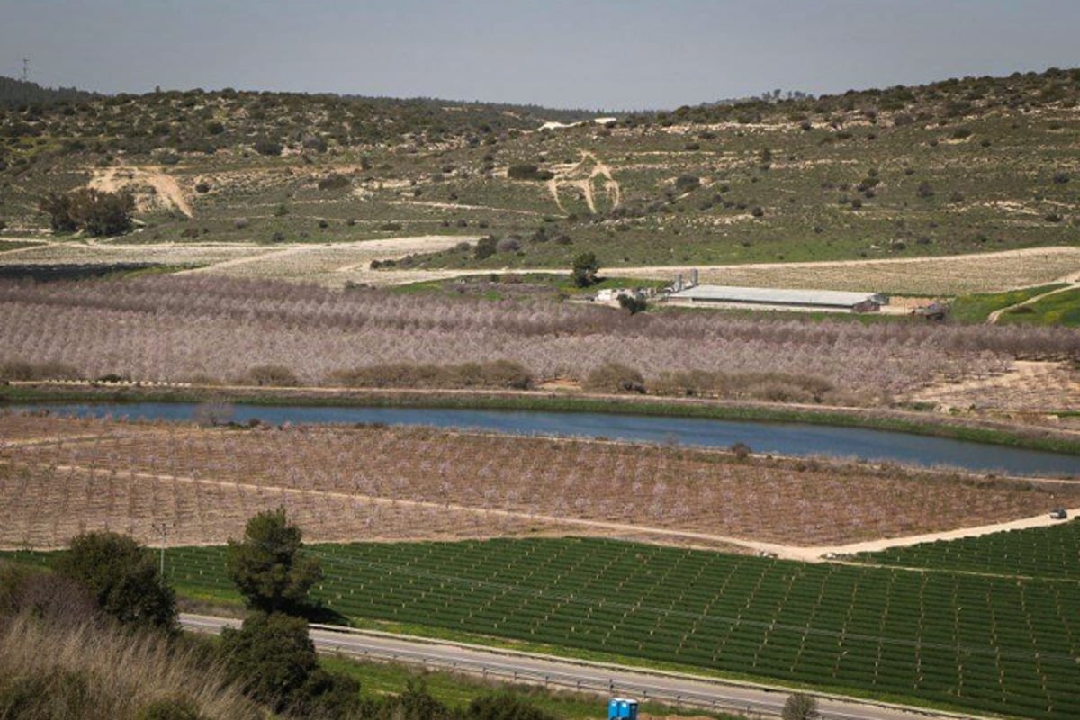 הקסם של עמק האלה דרך עדשת המצלמה