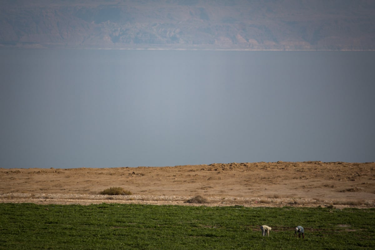 ים המוות? ים המלח בסדרת תמונות מרהיבה