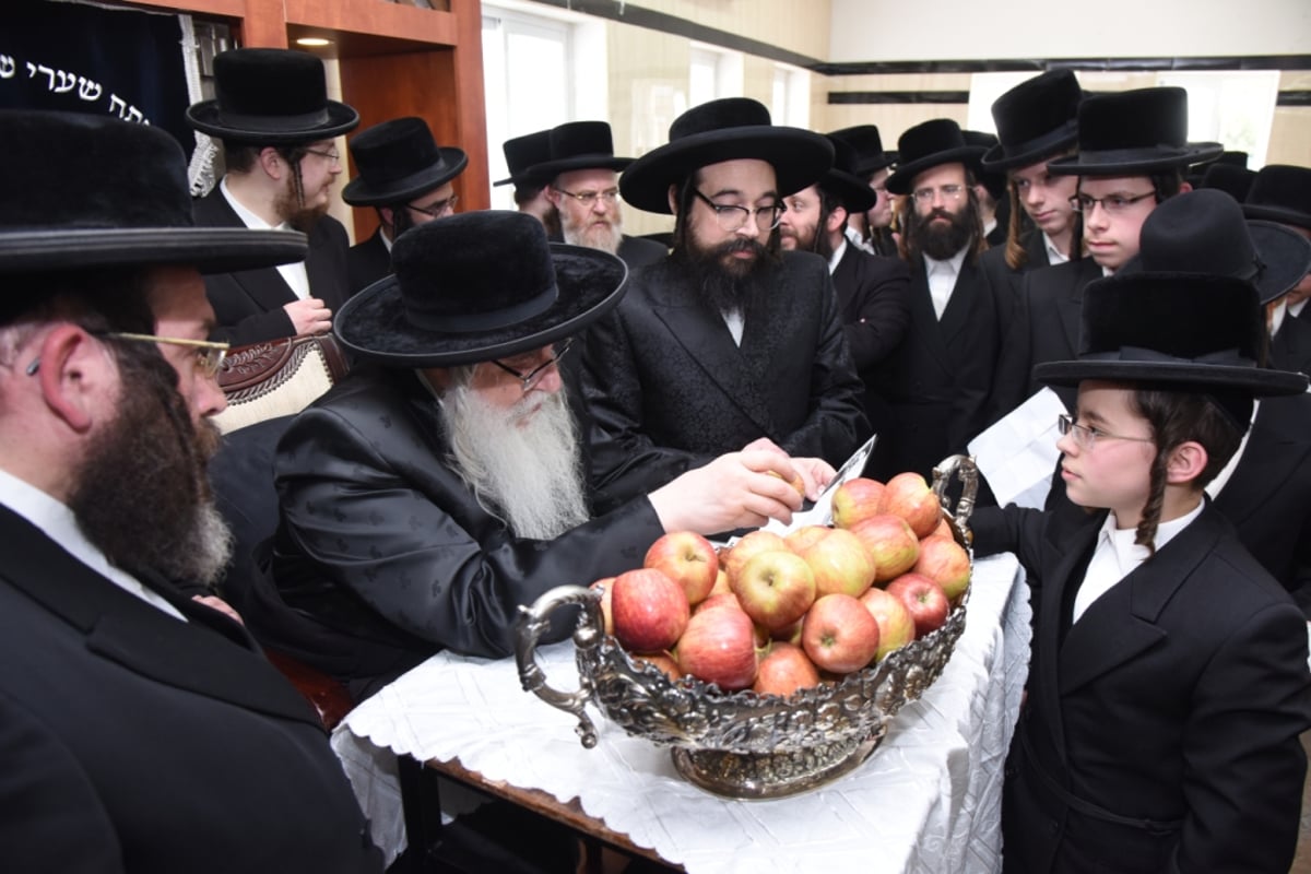 מעמד החלאקה לנין האדמו"ר מצאנז. תיעוד