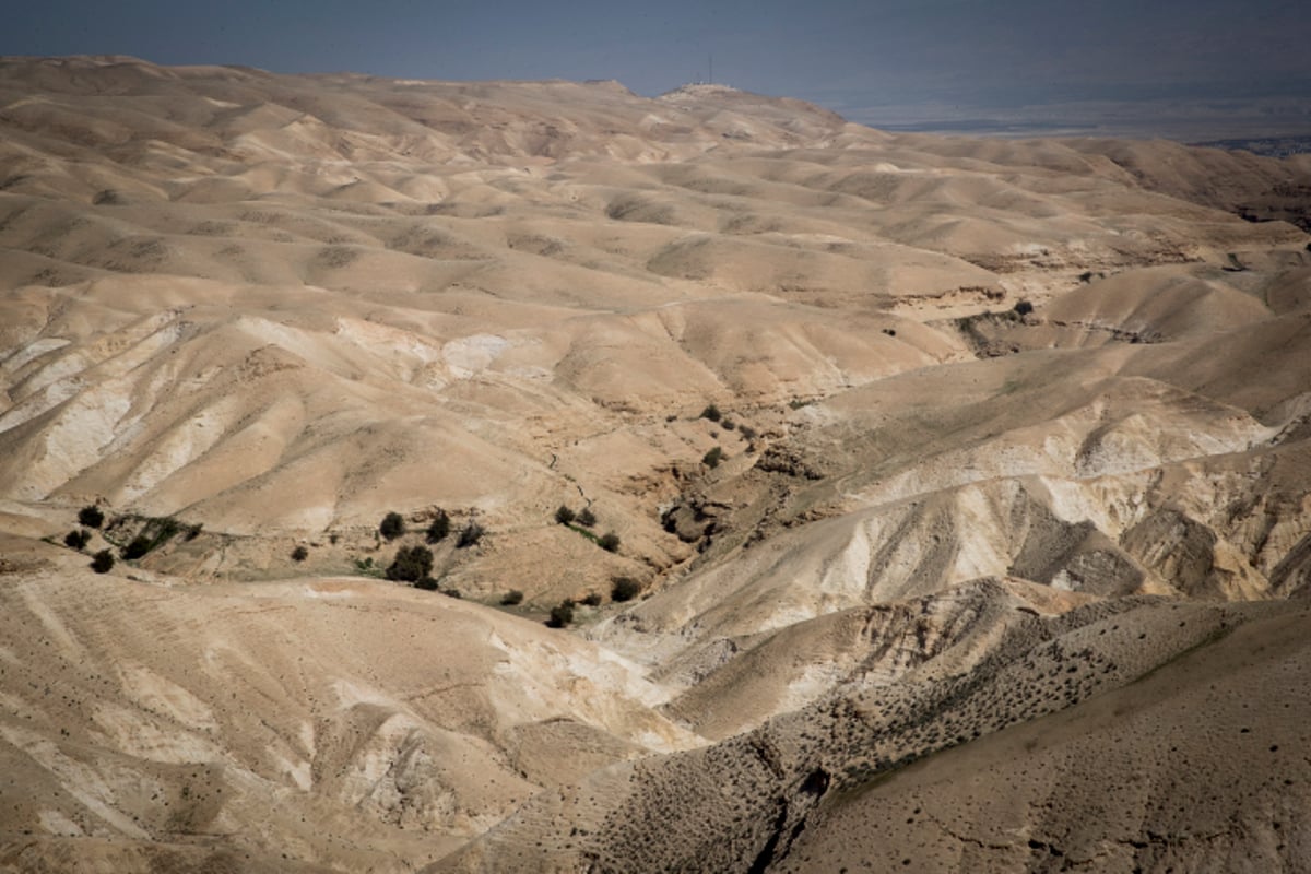 הקסם של מדבר יהודה דרך עדשת המצלמה