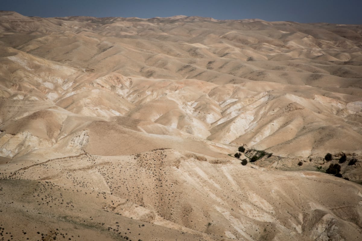 הקסם של מדבר יהודה דרך עדשת המצלמה