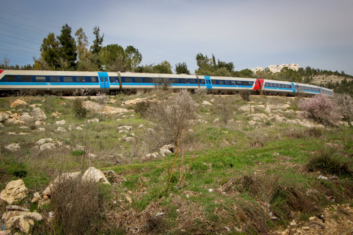 האביב עוד לא ממש פה - הפריחה כבר כן