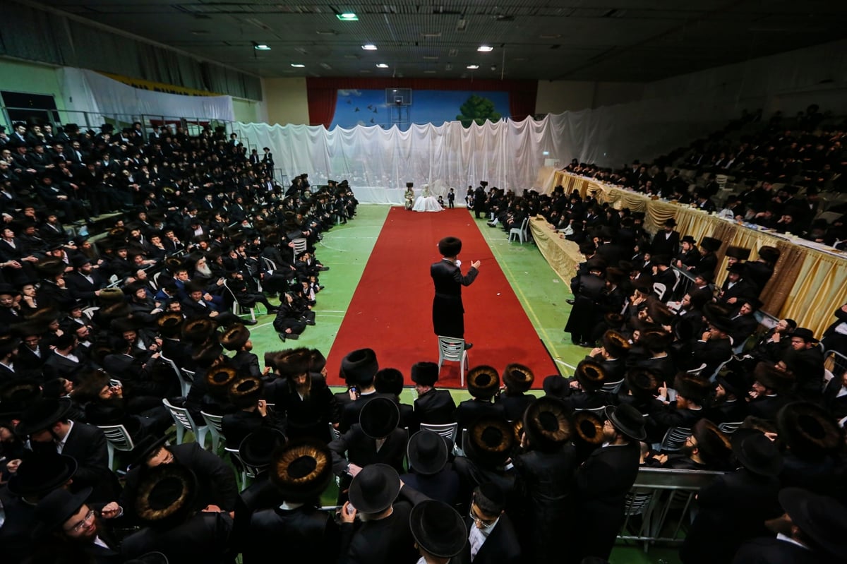 המצווה טאנץ של 'רבי מיילך' בידרמן | וידאו ותמונות