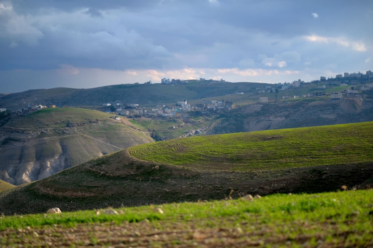 מדבר יהודה - צפו בקסם המדברי של האביב