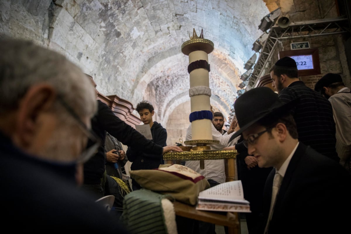 מגילת אסתר הגדולה בעולם הובאה לכותל המערבי | צפו