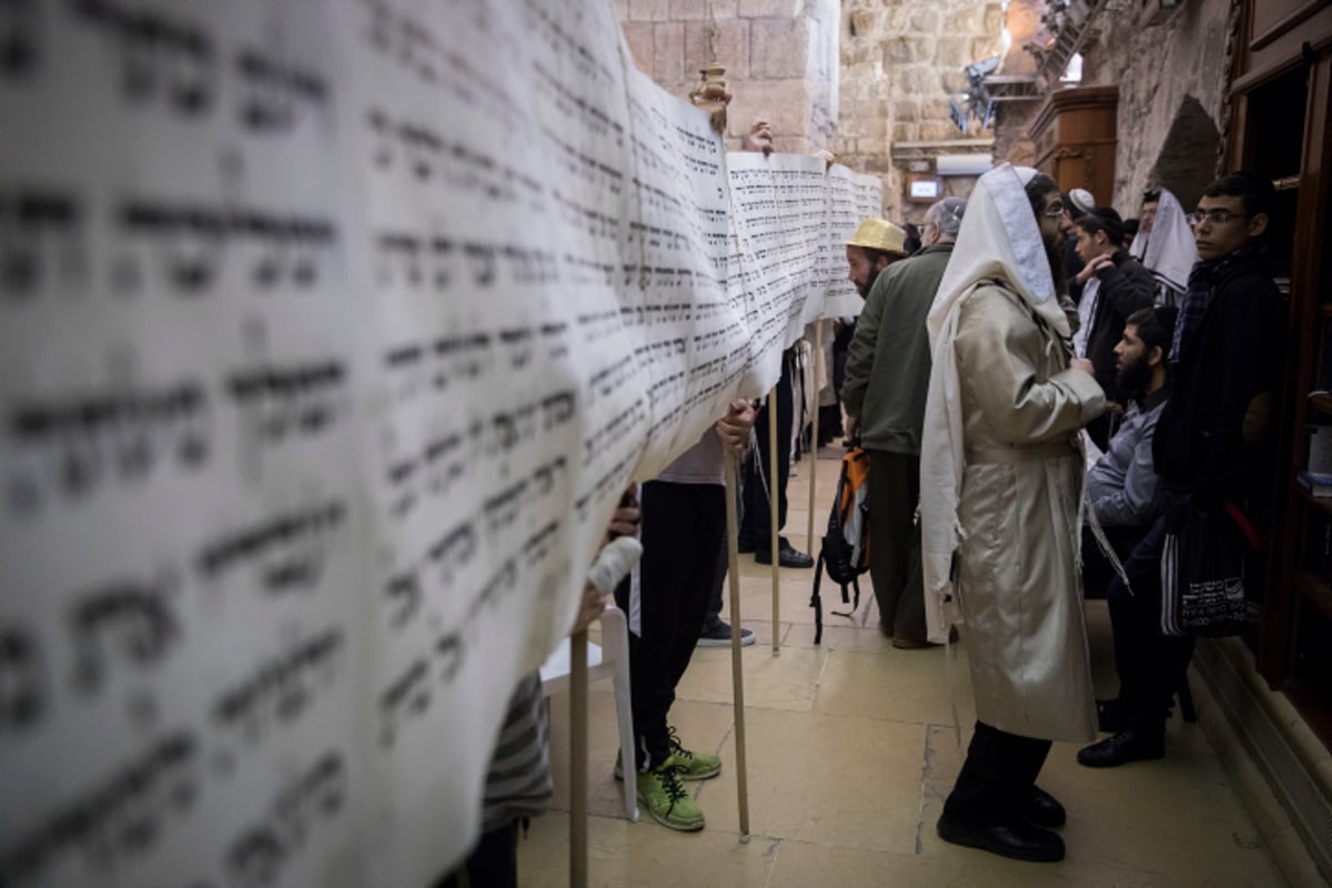 מגילת אסתר הגדולה בעולם הובאה לכותל המערבי | צפו