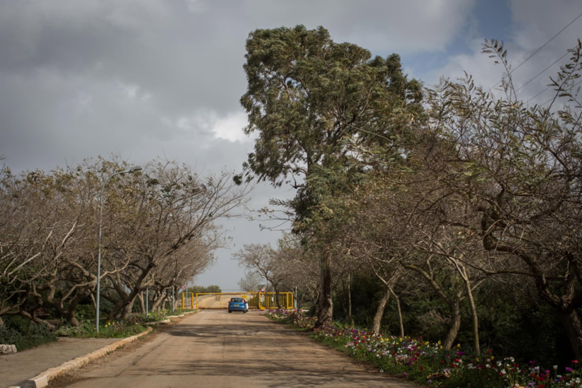 טיול לגליל הפורח דרך עדשת המצלמה