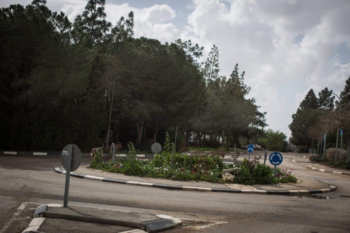 טיול לגליל הפורח דרך עדשת המצלמה