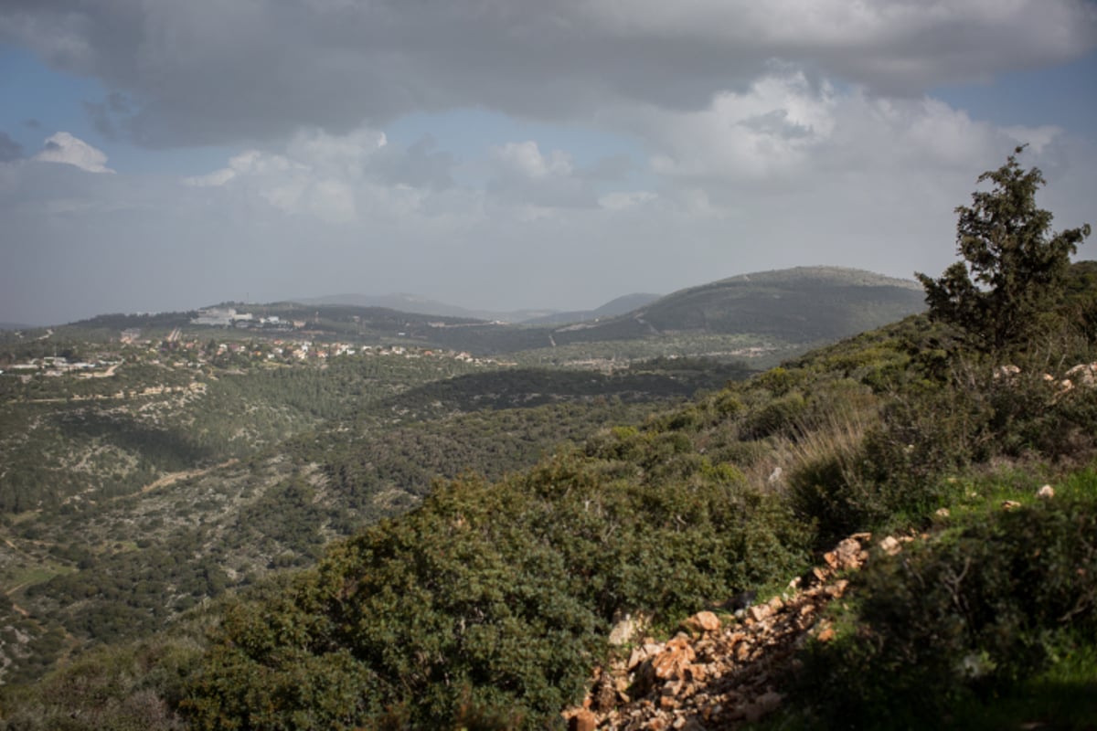 טיול לגליל הפורח דרך עדשת המצלמה