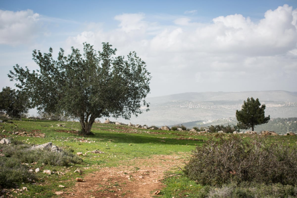 טיול לגליל הפורח דרך עדשת המצלמה