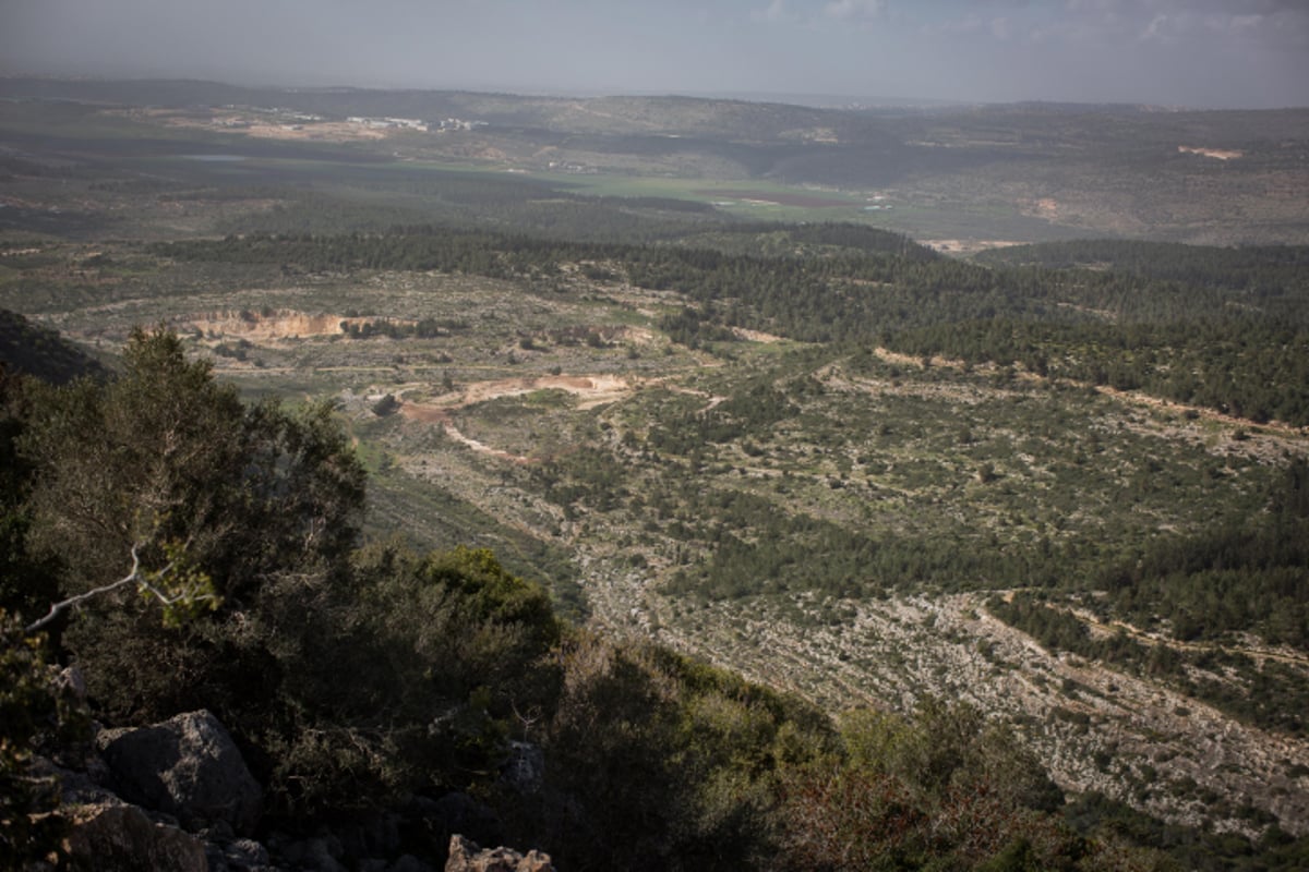 טיול לגליל הפורח דרך עדשת המצלמה