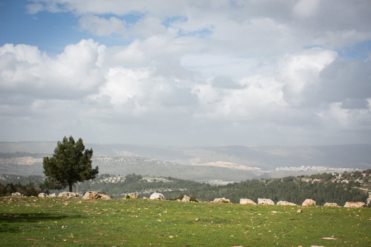 טיול לגליל הפורח דרך עדשת המצלמה