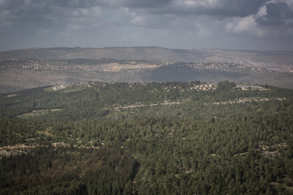 טיול לגליל הפורח דרך עדשת המצלמה