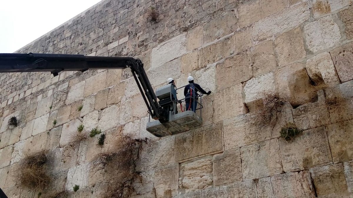 מה חיפשו העובדים באבני הכותל הגבוהות?