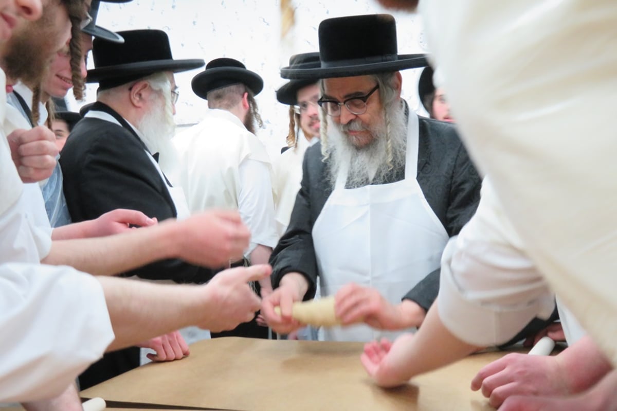 האדמו"ר מסאטמר והתלמידים אפו מצות | צפו