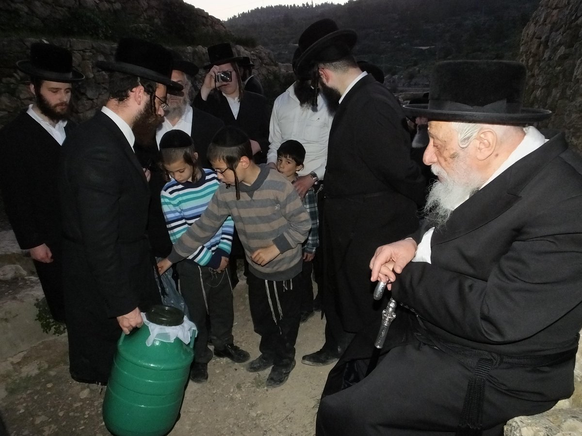 הרבי מקופישניץ בברכת האילנות ובמים שלנו. תיעוד