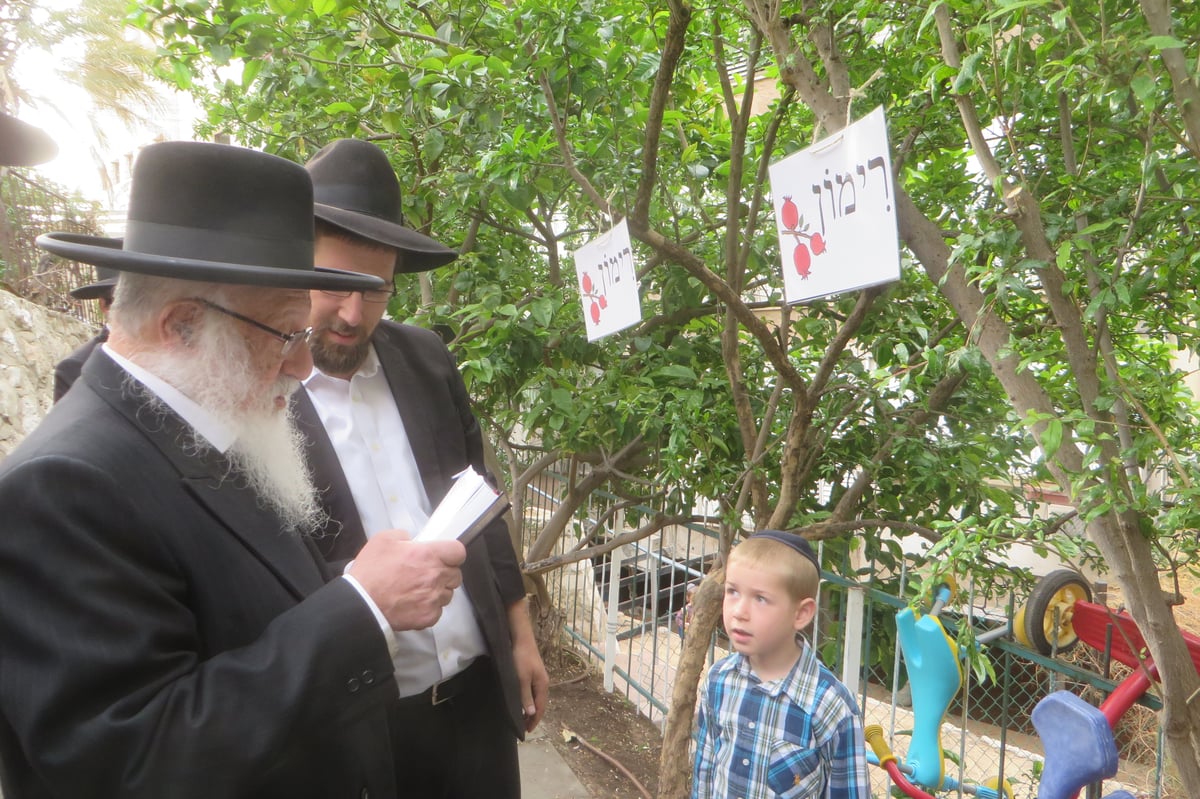 תיעוד: הגרב"ד פוברסקי בברכת האילנות