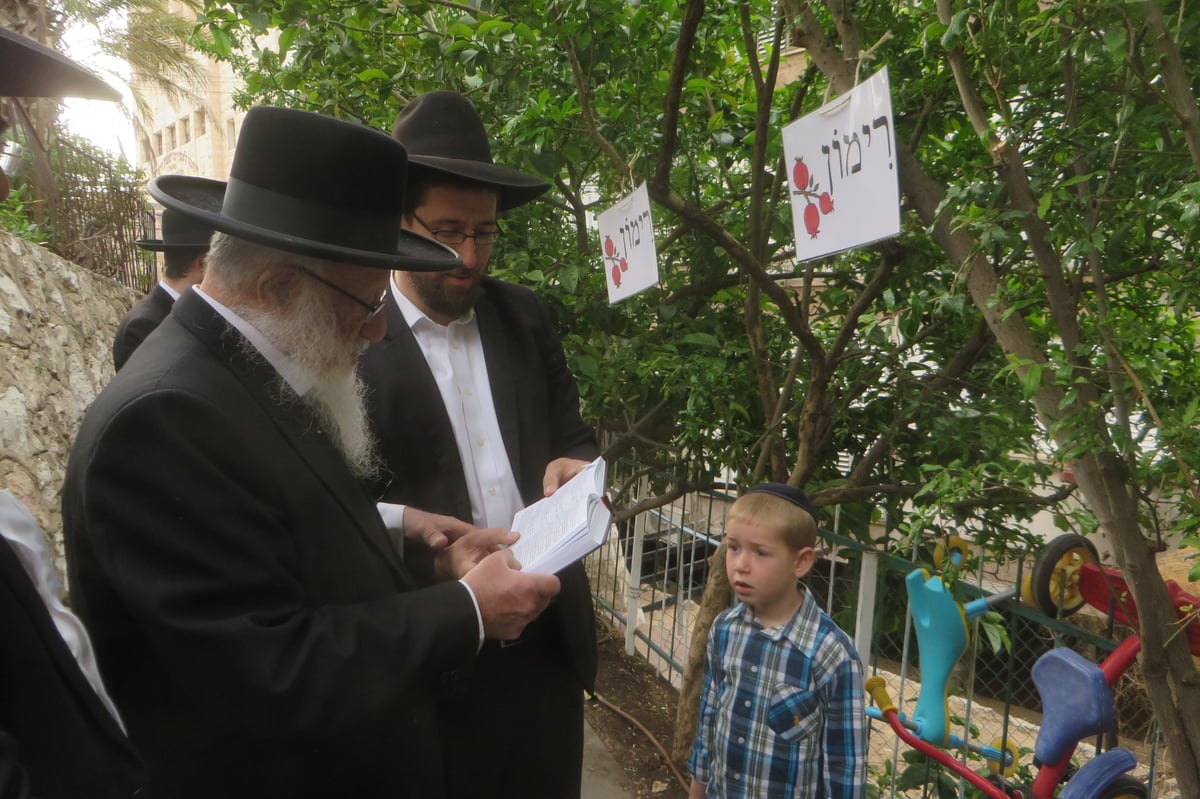 תיעוד: הגרב"ד פוברסקי בברכת האילנות